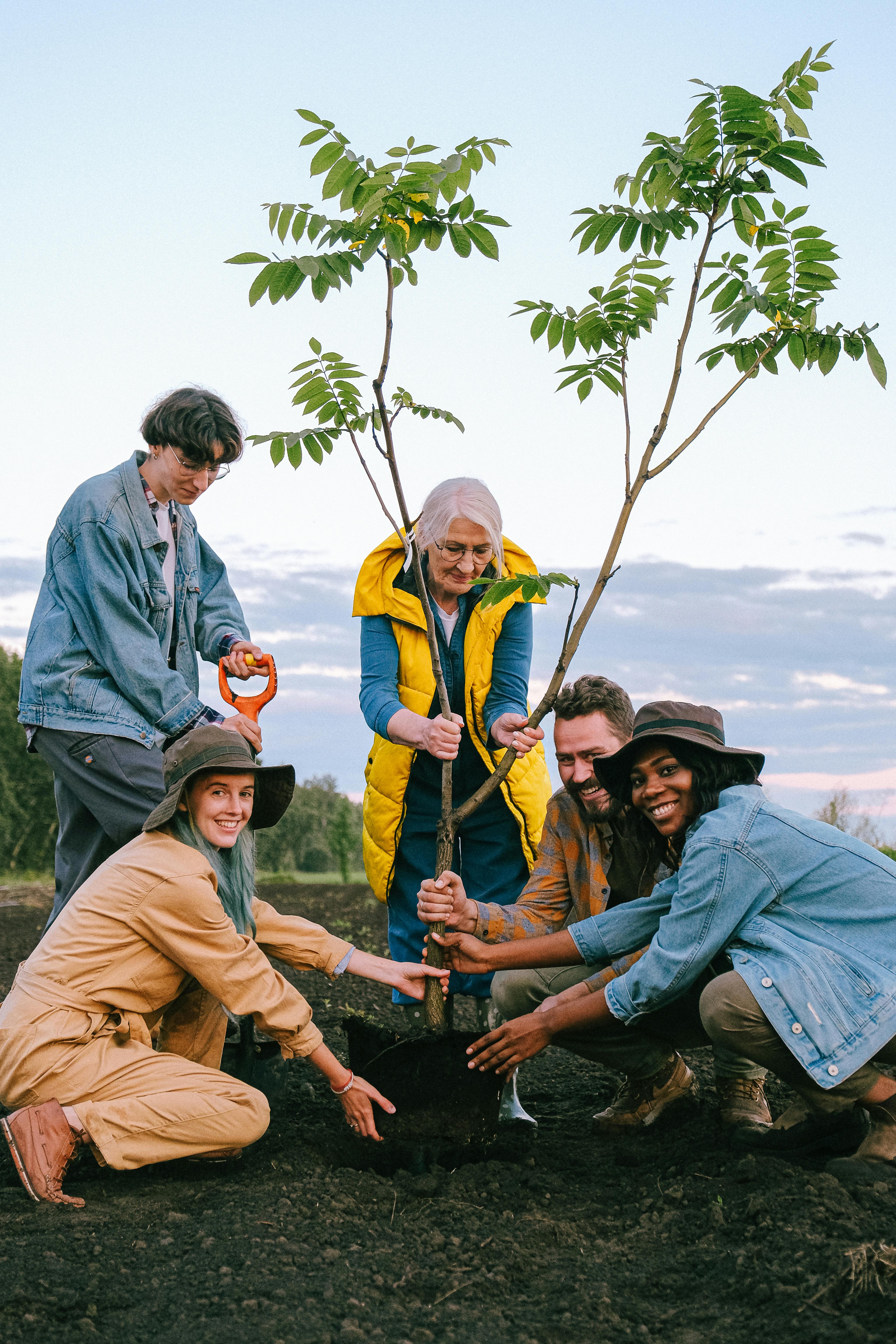 Tree Planting